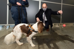 Après de nouvelles saisies record dans le port d'Anvers, les douanes verront leur capacité d'action renforcée dans la lutte contre le trafic de drogue