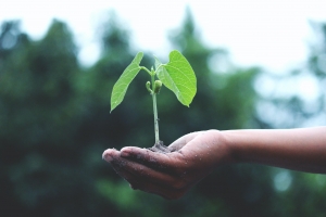 Du monde financier aux petits épargnants : l'Europe facilite la contribution à un avenir durable